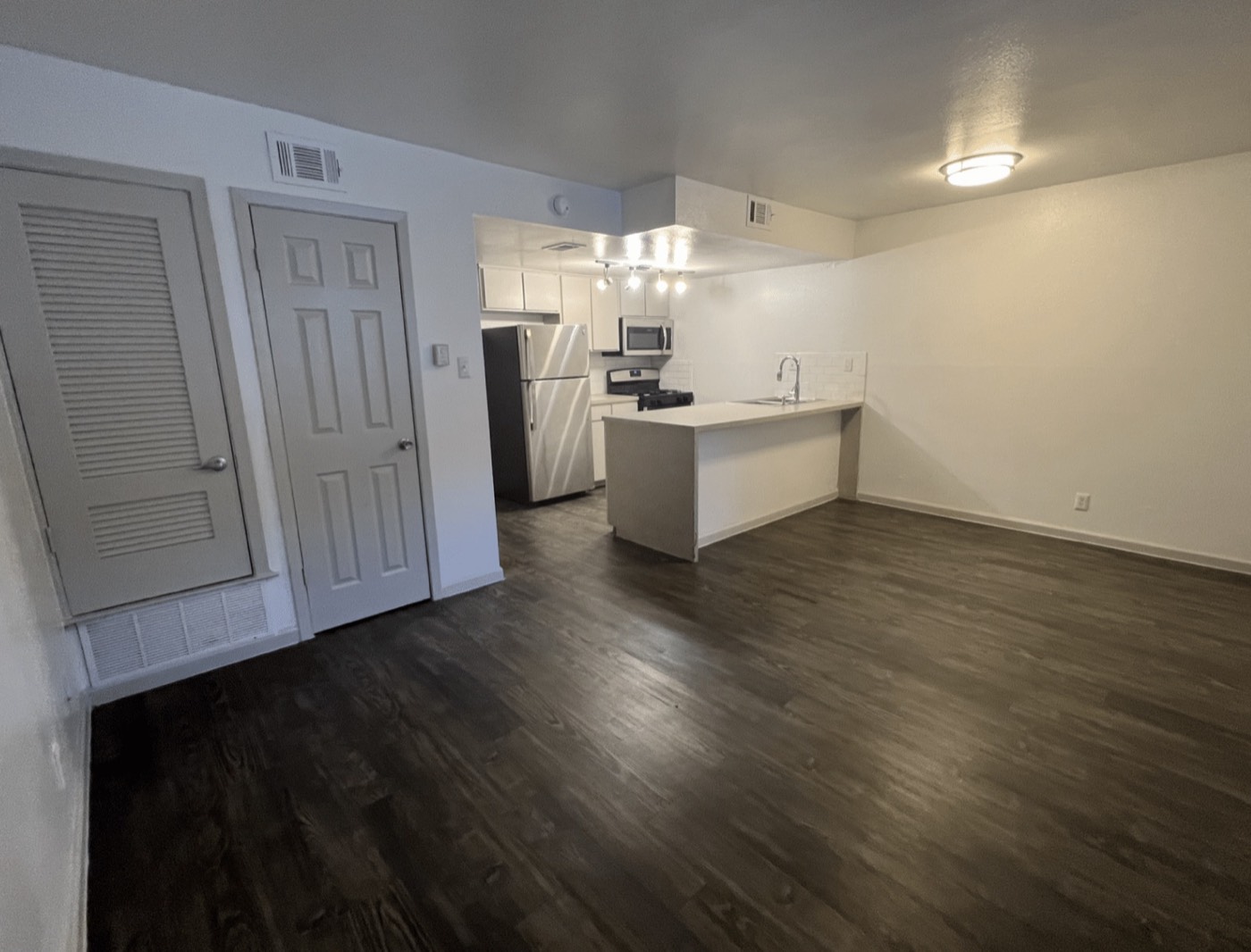 Open kitchen and living area with wood-style flooring